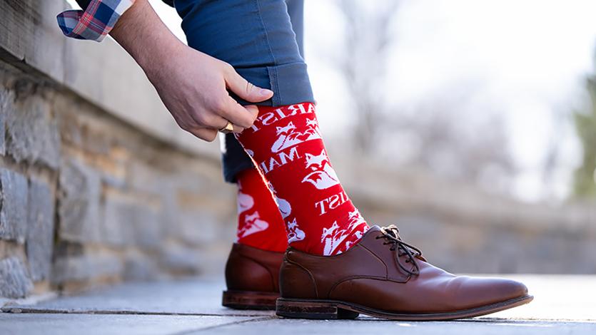 Image of Fox Socks.